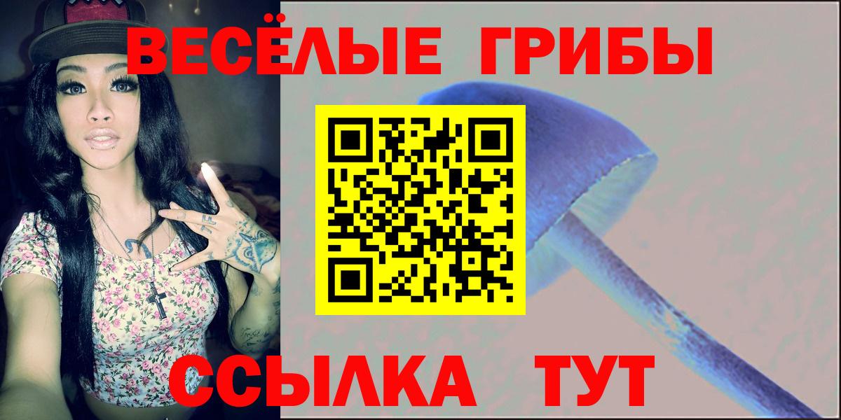 Лянтор  Псилоцибиновые грибы Psilocybine cubensis  Вход с VPN 